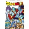 Dragon Ball Super Vol. 17 