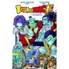 Bola de Drac Super nº 17