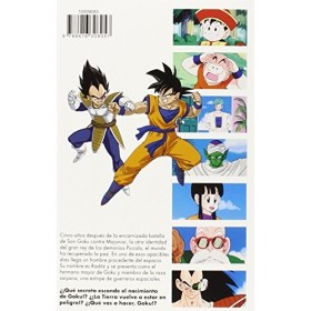 Dragon Ball Z Anime Series Saiyanos nº 01/05