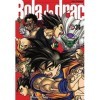 Bola de Drac Definitiva nº 34/34