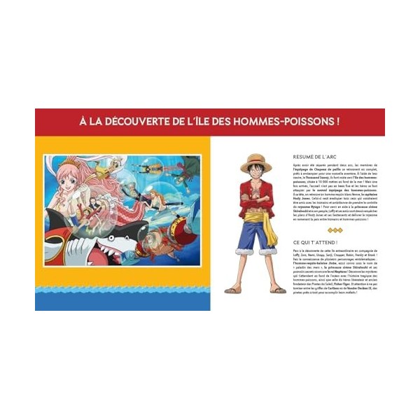 ONE PIECE - Jeu du cherche et trouve officiel Toei 