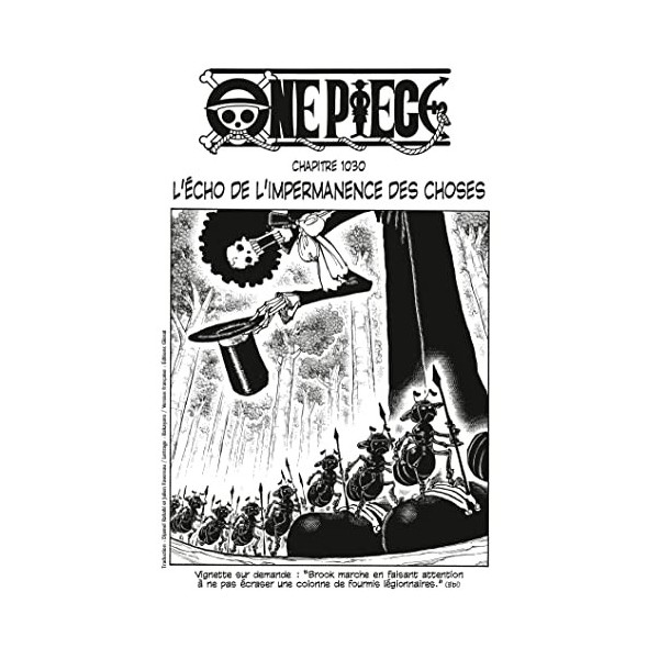 One Piece édition originale - Chapitre 1030 : Lécho de limpermanence des choses One Piece Chapitres t. 102 