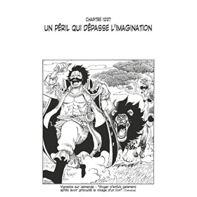 One Piece édition originale - Chapitre 1027 : Un péril qui dépasse limagination One Piece Chapitres t. 102 