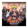 Grupo Erik - Calendrier Mural 2024 Naruto | Calendrier Mensuel 30 x 60 cm, Certifié FSC, en Français