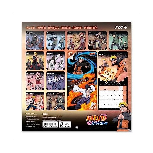 Grupo Erik - Calendrier Mural 2024 Naruto | Calendrier Mensuel 30 x 60 cm, Certifié FSC, en Français