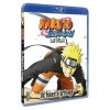 Naruto Shippuden-Le Film : Un funeste présage [Combo Blu-Ray + DVD]