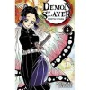 Demon Slayer T06