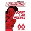 Bleach - Tome 66: Sorry I am strong