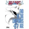 Bleach - Tome 47: End of the chrysalis age