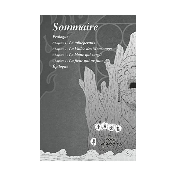 Naruto - romans - Tome 11 - Nouvelles d Akatsuki