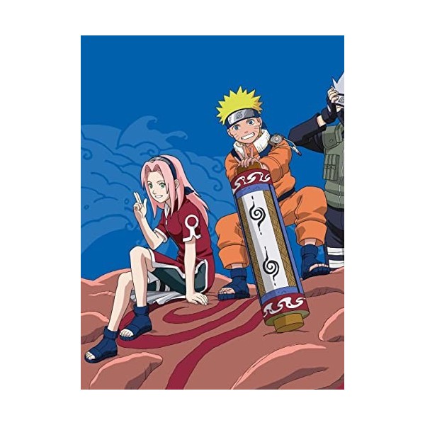 Mon carnet secret Naruto, Sakura, Sasuke