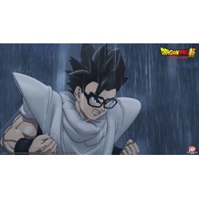 Dragon Ball Super Hero