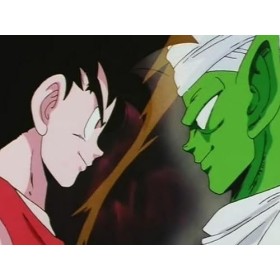 Dragon Ball - Coffret 3 : Volumes 17 à 25