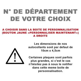 HADEXIA Pack 2 Paires Autocollant Stickers Plaque dimmatriculation Premium Dragon Ball Z - Numéro Personnalisé