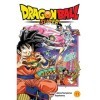 Dragon Ball Super, Vol. 11