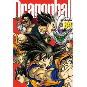 Dragon Ball perfect edition - Tome 34