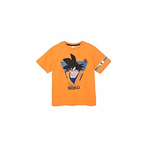 Dragon Ball Z T-Shirt Garçon, T-Shirt Coton Doux Motif Goku, T-Shirt Manches Courtes Enfant et Ado, Taille 6 Ans, Bleu