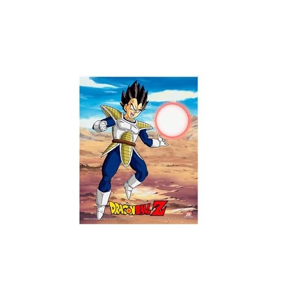 Pyramid Cadre lenticulaire 3D Dragon Ball Z - Champions of Earth - Vrai Effet de Mouvement et de Profondeur - Décoration Prem