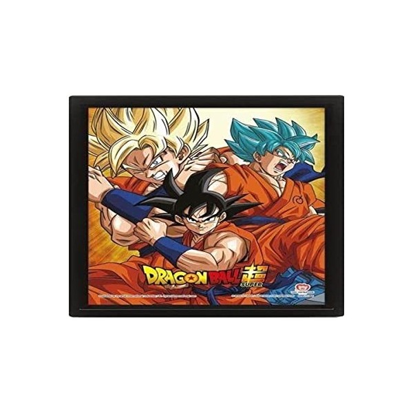 Pyramid Cadre lenticulaire 3D Dragon Ball Z - Champions of Earth - Vrai Effet de Mouvement et de Profondeur - Décoration Prem