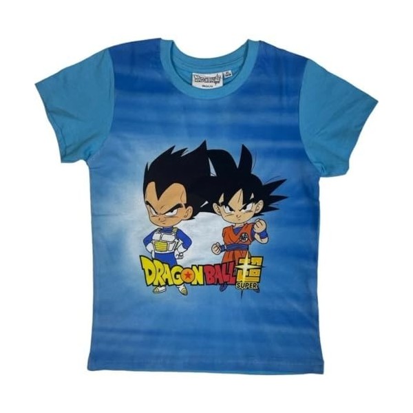 Fantaisie Dragon Ball Z - T-Shirt à Manches Courtes Dragon Ball Z FR/ES, Âge, 10 Ans, Taille Normale, Short Sleeve T-Shirt D