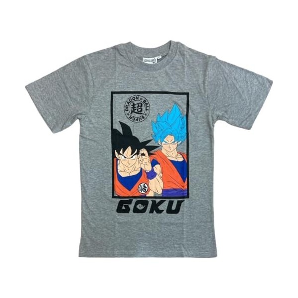 T-Shirts à Manches Courtes Dragon Ball Z - Garçon Coton Débardeur Dragon Ball Z FR/ES, Âge, Taille Unique, Taille Normale, S