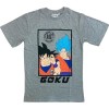 T-Shirts à Manches Courtes Dragon Ball Z - Garçon Coton Débardeur Dragon Ball Z FR/ES, Âge, Taille Unique, Taille Normale, S