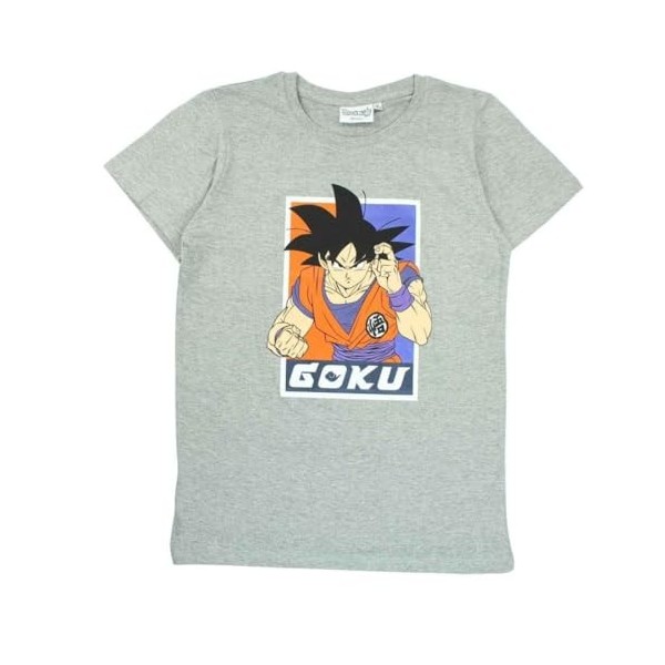 T-Shirts à Manches Courtes Dragon Ball Z - Garçon Coton Débardeur Dragon Ball Z FR/ES, Âge, Taille Unique, Taille Normale, S