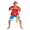 Costume Cosplay Monkey D. Luffy après 2 Ans de séparation | avec Chemise, Pantalon et Chapeau | Taille: XXL